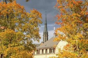 Fall in Uppsala photo