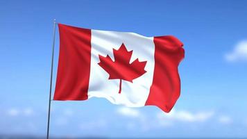 Waving flag of Canada on blue sky background video