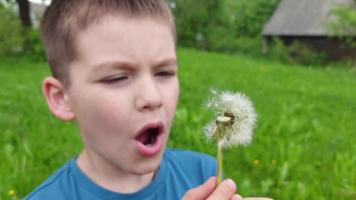 In the summer a boy blows on a dandelion video