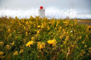 Dyrholaey Lighthouse on the South Coast of Iceland photo