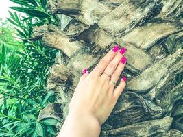 exotic trees in a hot, tropical country. palm trees with green, large leaves. girl's hand with pink manicure, perfect trendy nails photo