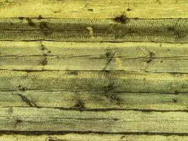 texture, background. natural, processed yellow wood with sawdust. texture of logs, trees with knots for building a house photo