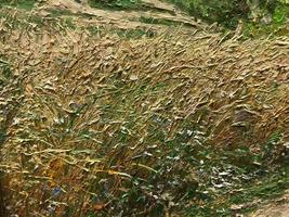 Photo with textural strokes applied to the surface of oil paint. Art. Texture and background