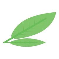 Peach leaf icon, isometric style vector