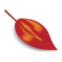 Red autumn leaf icon, realistic style vector