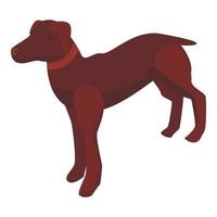 icono de perro de caza, estilo isométrico vector