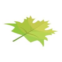 icono de hoja de arce verde, estilo isométrico vector