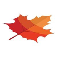 Red maple leaf icon, isometric style vector