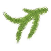 Pine tree branch icon, isometric style vector