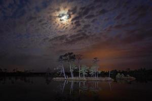 Night Landscapes in the Open Air photo