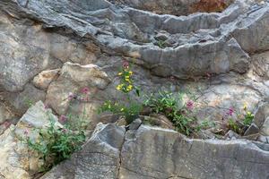 Spring Landscapes From the Mountains of Greece photo