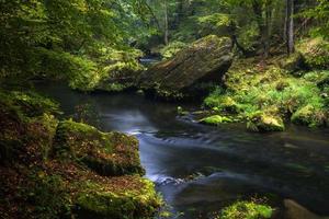 paisajes otoñales en hrensko, río kamenice foto