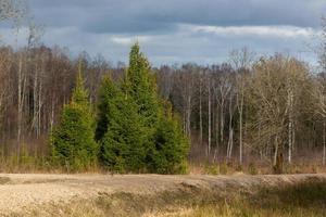 Early Spring Landscapes photo