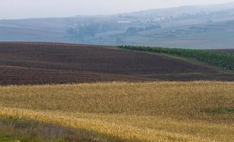 Autumn Landscape  in a Moravian Fields photo