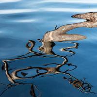 Reflection in Water on a Blue Background photo