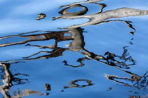 reflejo en el agua sobre un fondo azul foto