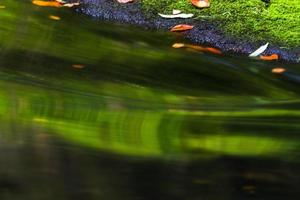 Autumn Landscapes in Hrensko, River Kamenice photo