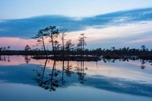 Night Landscapes in the Open Air photo