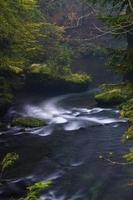 paisajes otoñales en hrensko, río kamenice foto