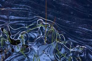 Ice Patterns on Thin Ice photo