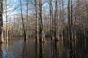 parque nacional soomaa en inundaciones foto