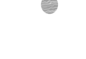 Light silver, gray vector texture with disks.