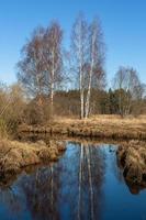 Early Spring Landscapes photo