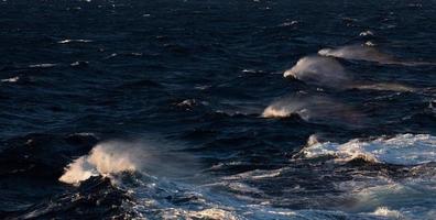 Waves and Splashes in the Mediterranean Sea photo