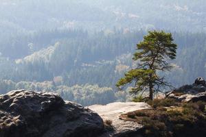 paisajes otoñales en prebischtor, bohemia foto