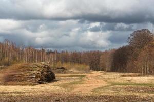 Early Spring Landscapes photo