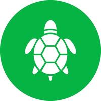 Turtle Vector Icon