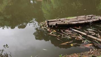 río contaminado y zona pantanosa en sri lanka video