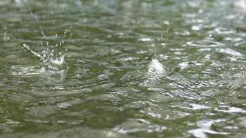 Regentropfen und Nieselregen fallen auf eine schlammige Pfütze im Freien video