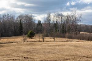 Early Spring Landscapes photo