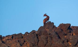 Landscapes of the Island of Palia Kameni photo