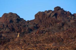 Landscapes of the Island of Palia Kameni photo