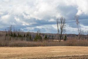 Early Spring Landscapes photo