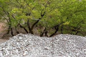 Spring Landscapes From the Mountains of Greece photo