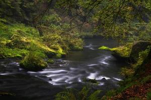 Autumn Landscapes in Hrensko, River Kamenice photo