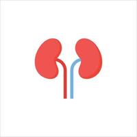 kidneys icon. flat icon vector