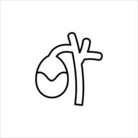gallbladder icon. outline icon vector