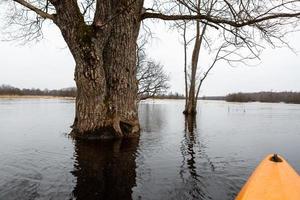 Soomaa National Park in Flooding photo