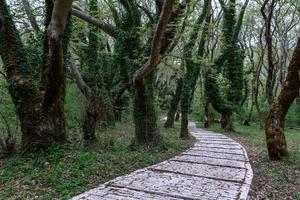 Spring Landscapes From the Mountains of Greece photo