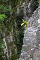 Spring Landscapes From the Mountains of Greece photo