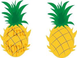 Pineapple vector with minor details in it.