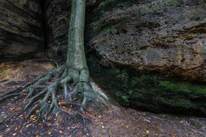 paisajes otoñales en prebischtor, bohemia foto