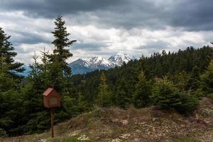 Spring Landscapes From the Mountains of Greece photo