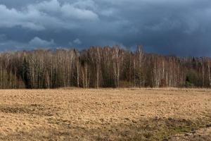 Early Spring Landscapes photo