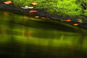 Autumn Landscapes in Hrensko, River Kamenice photo