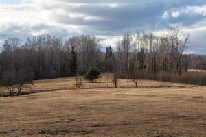 Early Spring Landscapes photo